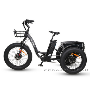 The Best OEM and ODM Customized Fat Tire Three Wheels Adult Electric Tricycle