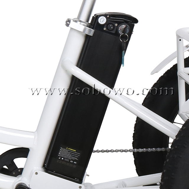 The Best OEM and ODM Customized Fat Tire Three Wheels Adult Electric Tricycle