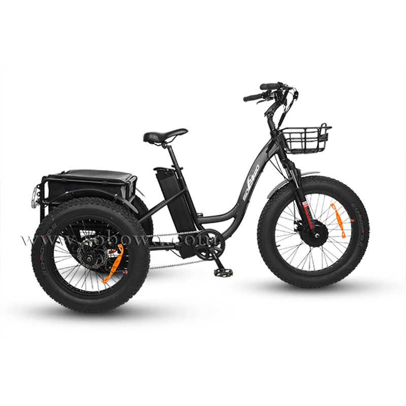 The Best OEM and ODM Customized Fat Tire Three Wheels Adult Electric Tricycle