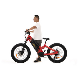 new listing electric family bike 48v bicicleta electrica beach cruiser shimano dual motor e bicycle 1000w kenda bafang ebike