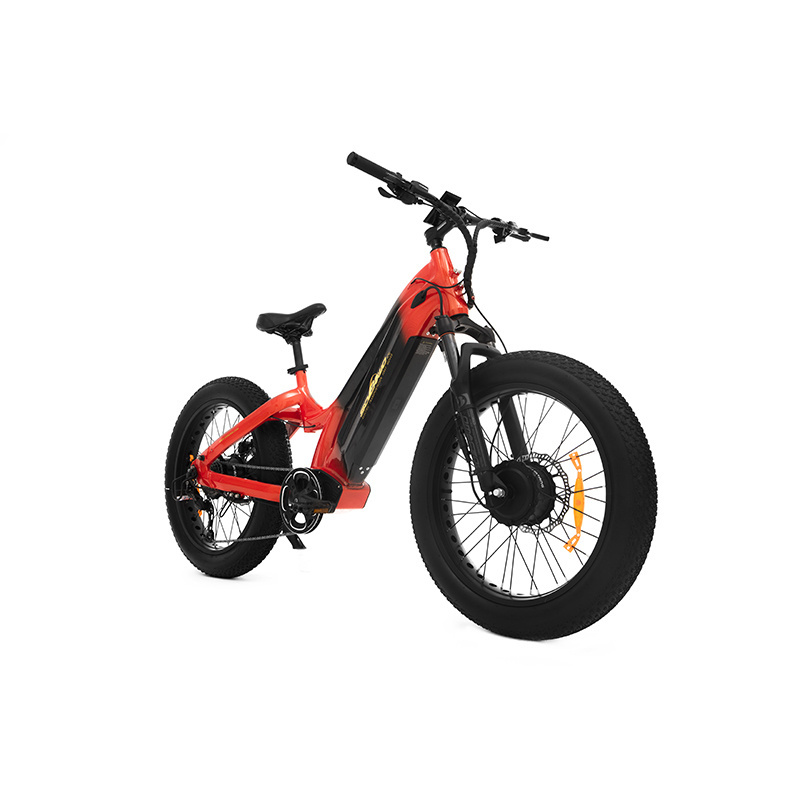 new listing electric family bike 48v bicicleta electrica beach cruiser shimano dual motor e bicycle 1000w kenda bafang ebike