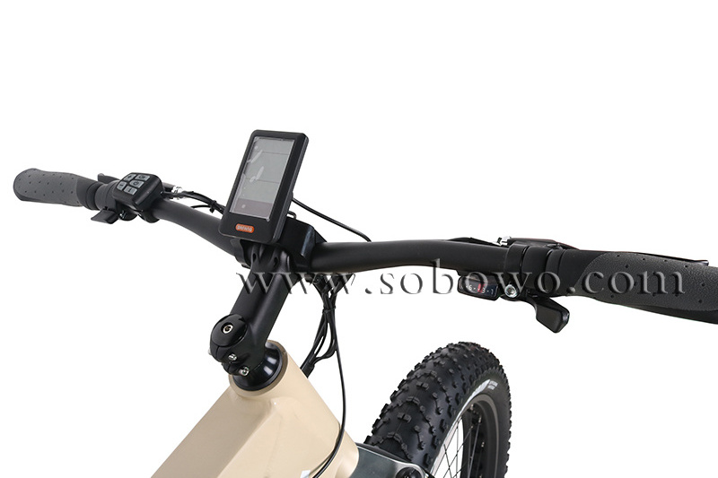 Big Power Mid Drive Electric mountain Bike 48v fat tire e city bike beach cruiser 750w bafang beach cruiser ebike