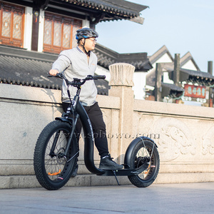 Sobowo 750W/1000W Electric Bike Scooter Adult High Speed Fast Dog Scooter Fat Tire Electric Kick Bike/Scooter