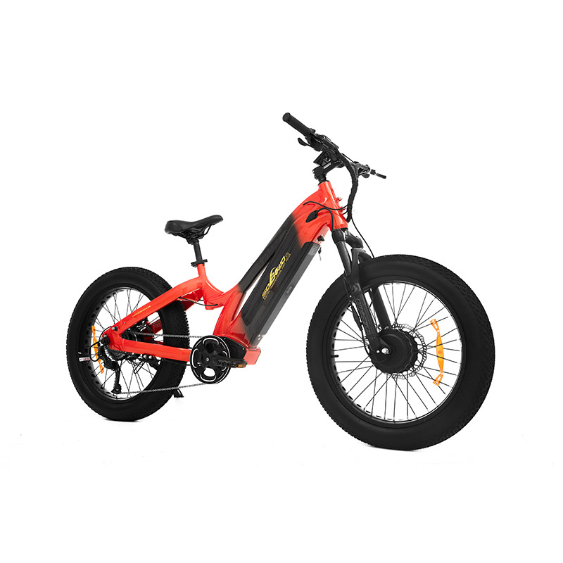 new listing electric family bike 48v bicicleta electrica beach cruiser shimano dual motor e bicycle 1000w kenda bafang ebike