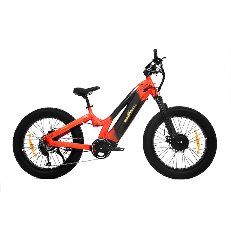 new listing electric family bike 48v bicicleta electrica beach cruiser shimano dual motor e bicycle 1000w kenda bafang ebike