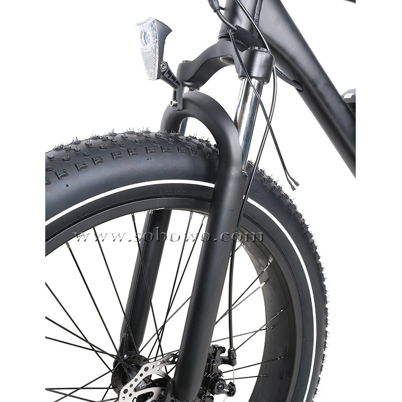 1000W Big Power Fat Tire Electric Mountain Bike/Snow e bike/Electric Bicycle