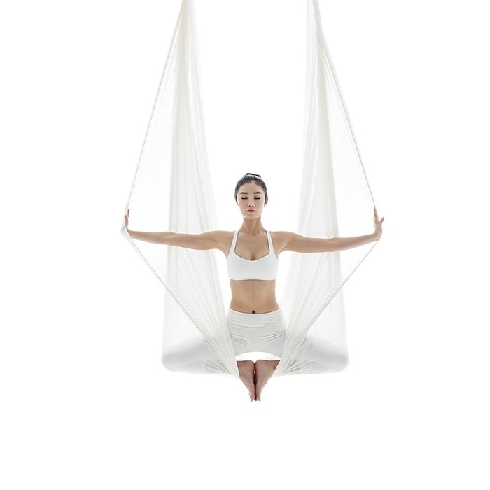 Zhensheng Professional High Quality Aerial Yoga Hammock