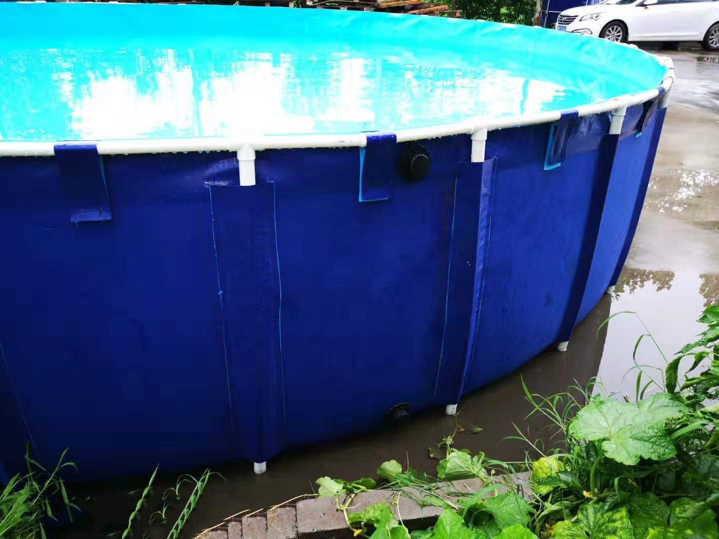 Wholesale High Quality Collapsible Round Tarpaulin Fish Farming Tank Pvc Plastic Fish Tank