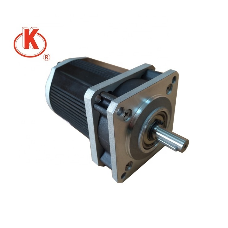 220V 110mm small 220v electric motors AC reversible  gear motor