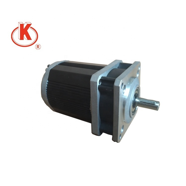 220V 110mm small 220v electric motors AC reversible  gear motor