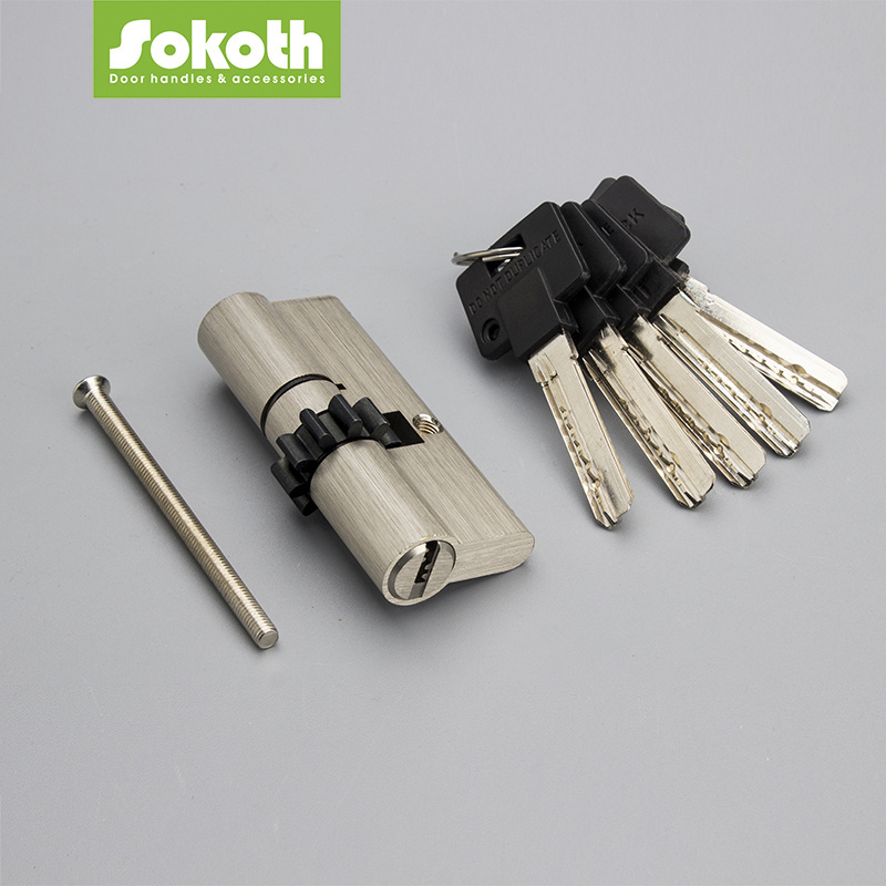 Brass Mortise Cylinder / Interactive Plus Super Cylinder Door Lock High Security for Israel Door LOCK