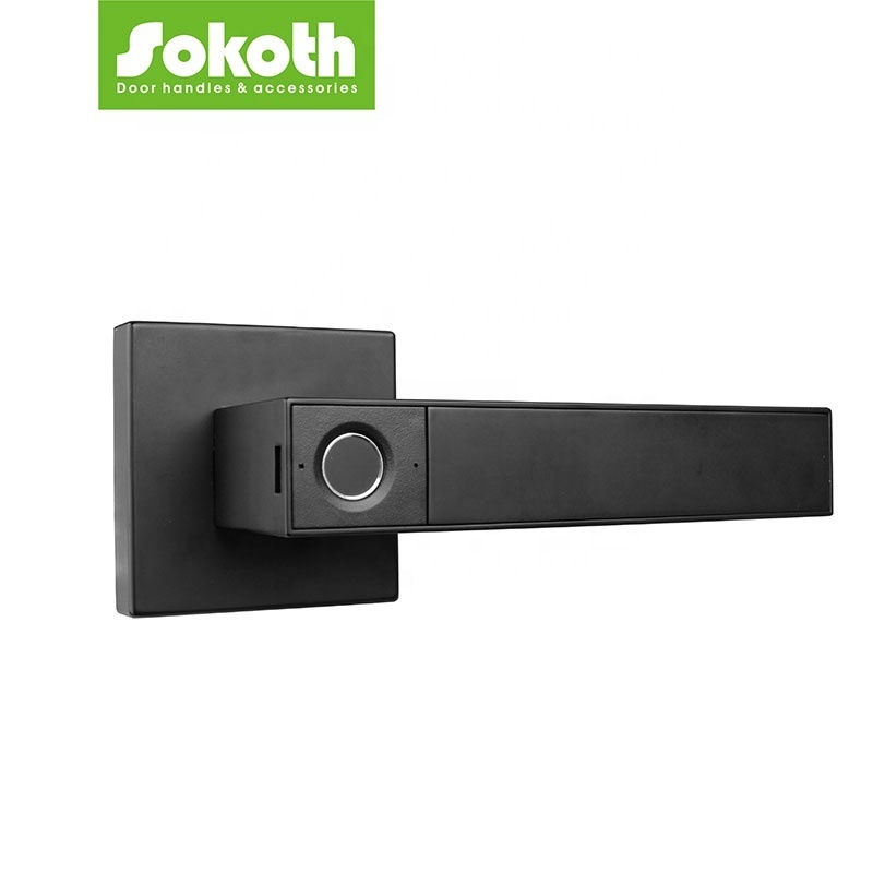 2022 American Canada Market Privacy Smartkey Door Lever Black Interior Door Knobs Entry Locks Dummy Square Entrance Locksets