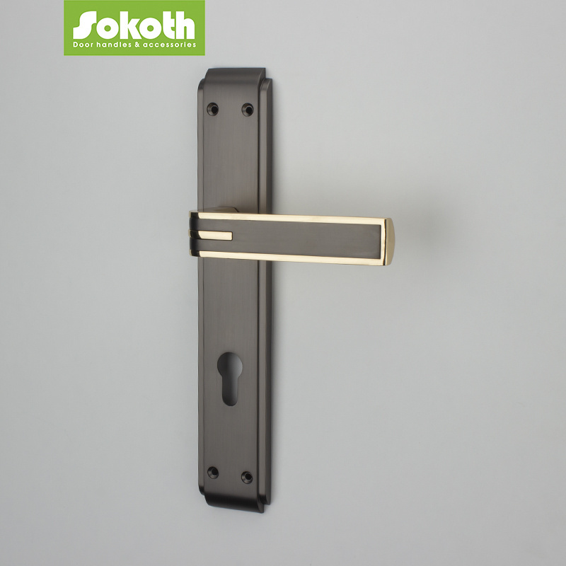 Sokoth Exterior Door Handle Locks with Panel External Lock for Aluminium Door Hotel