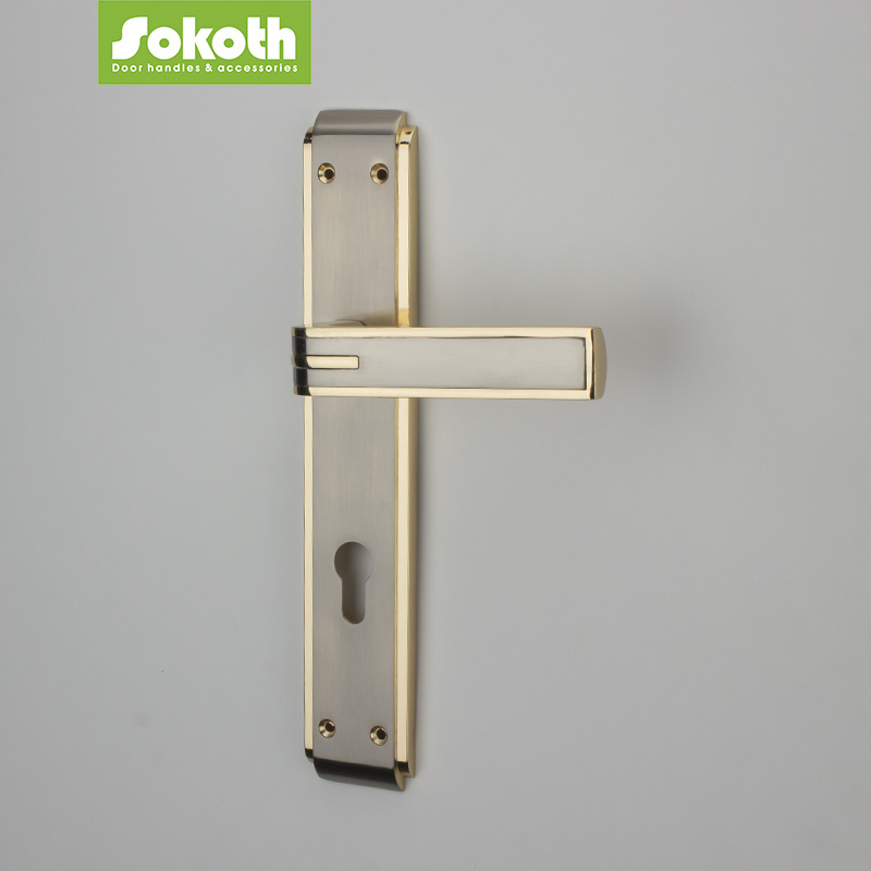 Sokoth Exterior Door Handle Locks with Panel External Lock for Aluminium Door Hotel