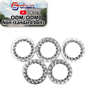 Stock DIN 6798 Stainless Steel Serrated Lock Washers with Internal Teeth - Corrosion-Resistant