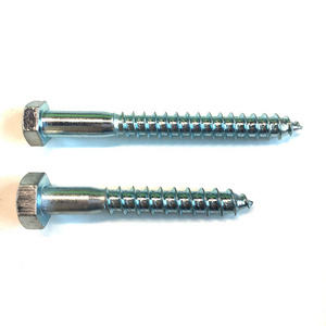 Grade 4.8 Galvanized Din571 Lag Bolts Coach Screw Hex Lag Screw