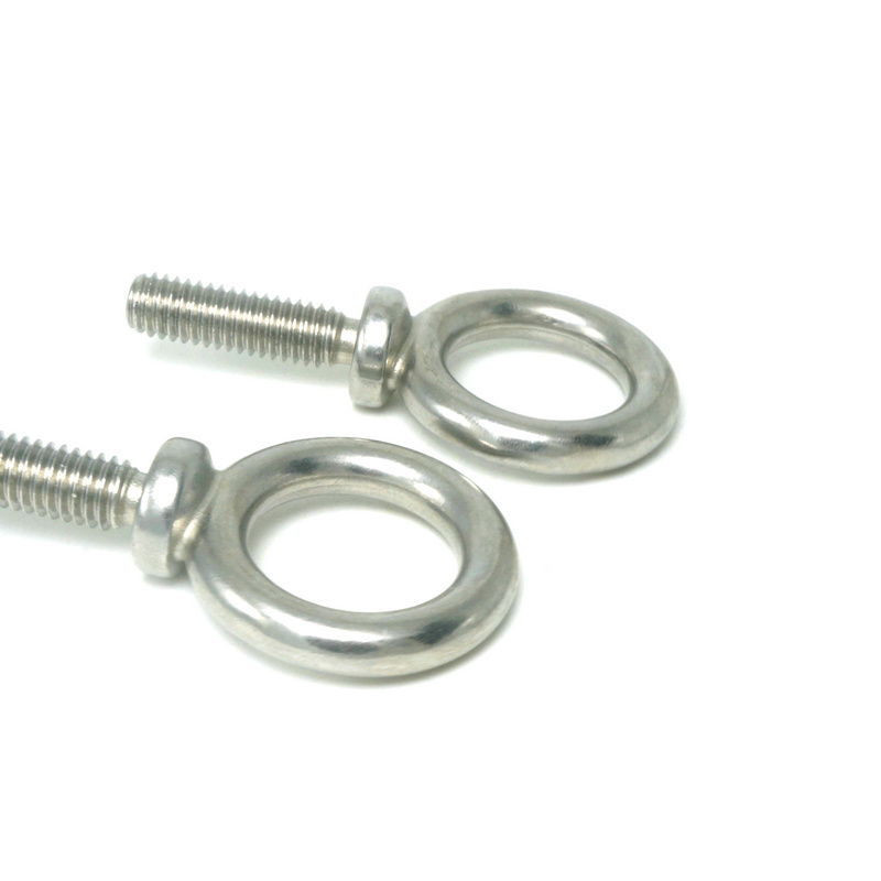 DIN 580 Stainless Steel SS304 SS316 A2 A4 Polished Lifting Eye Bolts: Various Sizes Available