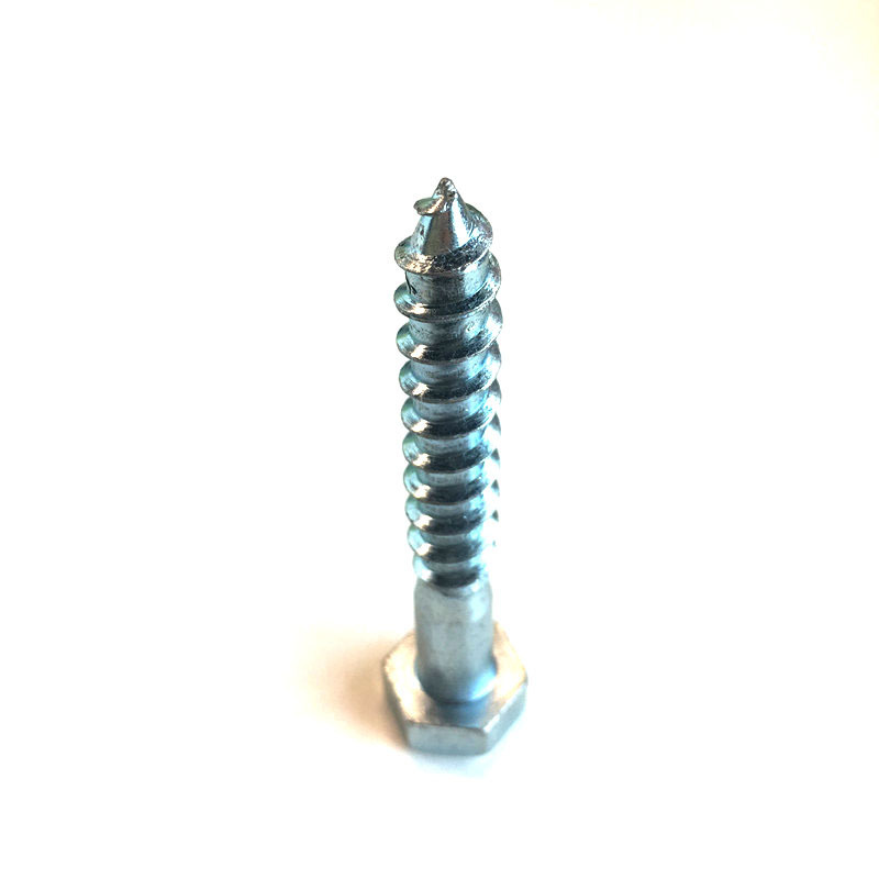 Grade 4.8 Galvanized Din571 Lag Bolts Coach Screw Hex Lag Screw