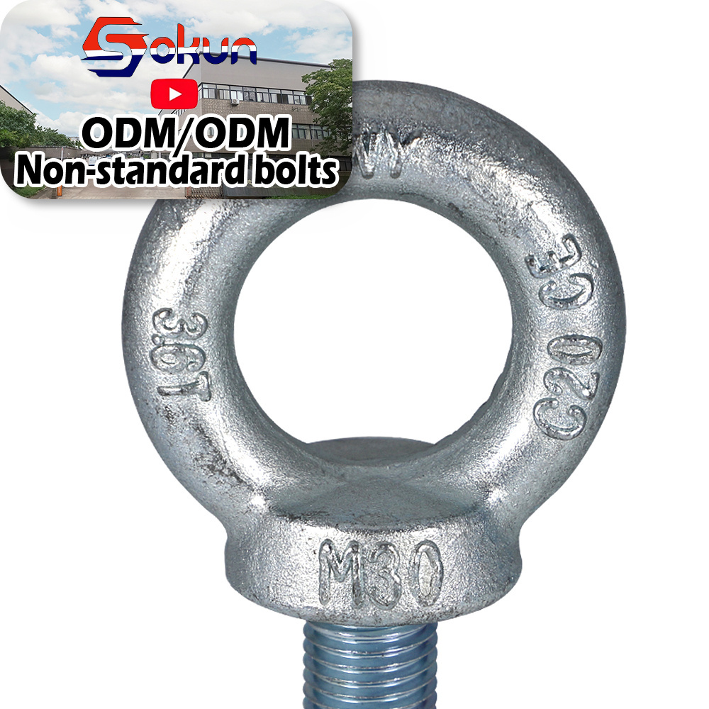 DIN 580 Stainless Steel SS304 SS316 A2 A4 Polished Lifting Eye Bolts: Various Sizes Available