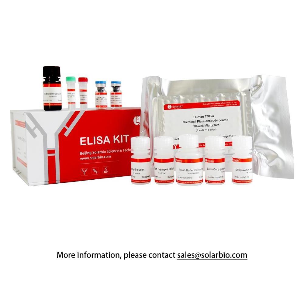 Human Endothelial Nitric Oxide Synthase eNOS Elisa Kit