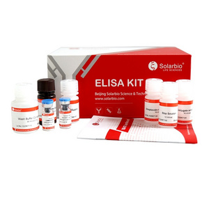 Human Endothelial Nitric Oxide Synthase eNOS Elisa Kit