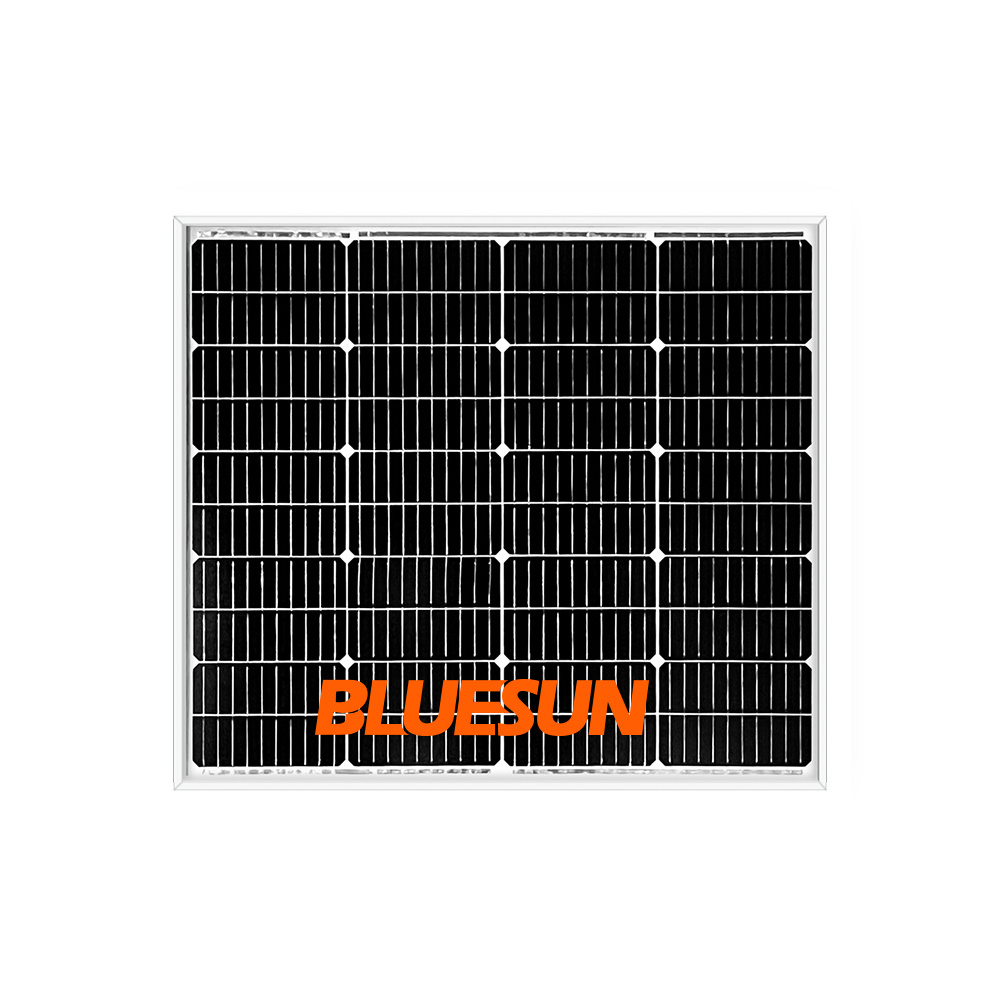 Bluesun Solar Solar Panel 90w 100w 110w 120w Mono Topcon 12V Paneles Solares For Street Light Motor Home Balcony