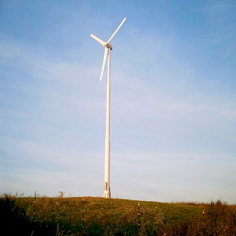 800w 1000w power generator wind turbines windmill wind system