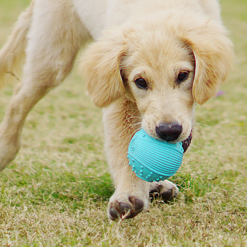 499 MOQ  Customizable Colors Pet Chew Toys Blue Orange Ball Rubber Dog Toy treat spiky ball toys for puppy