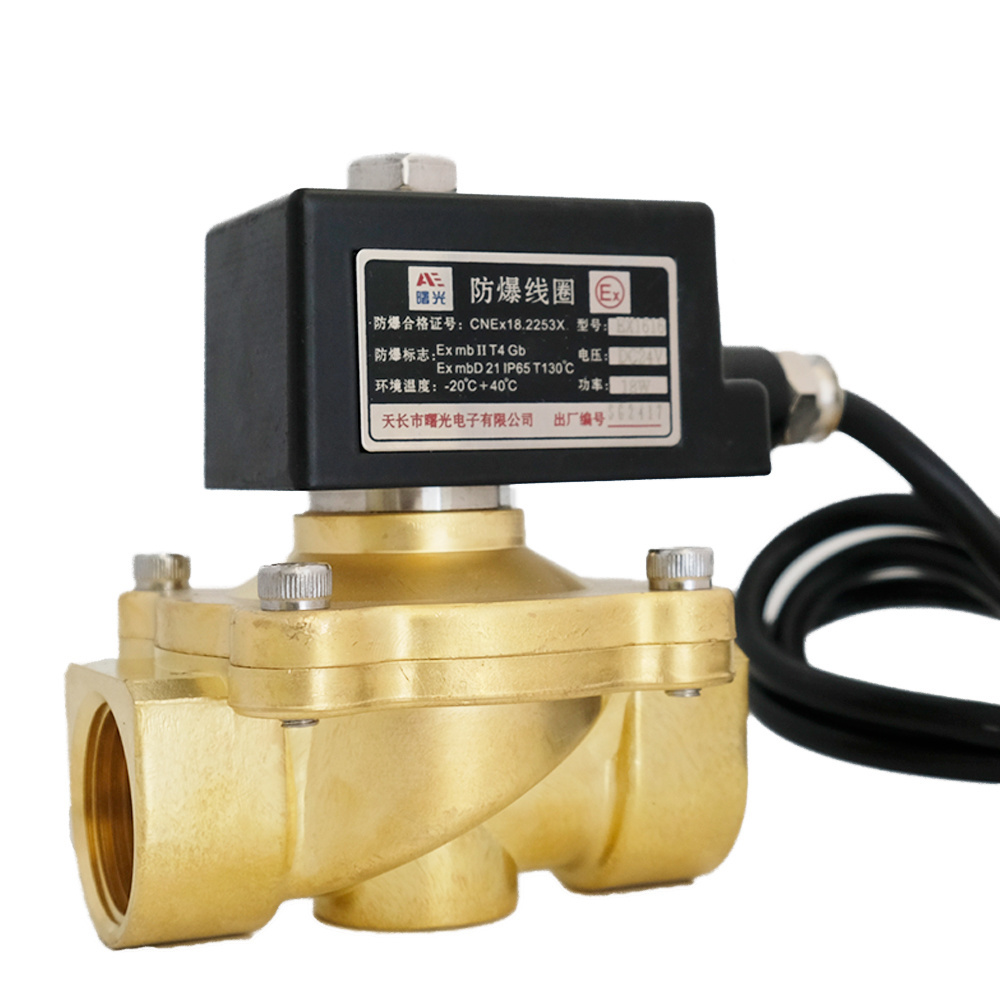 Darho normally closed SS304 SS316 explosion proof LPG safety solenoid valve for natural gas 1inch 2inch