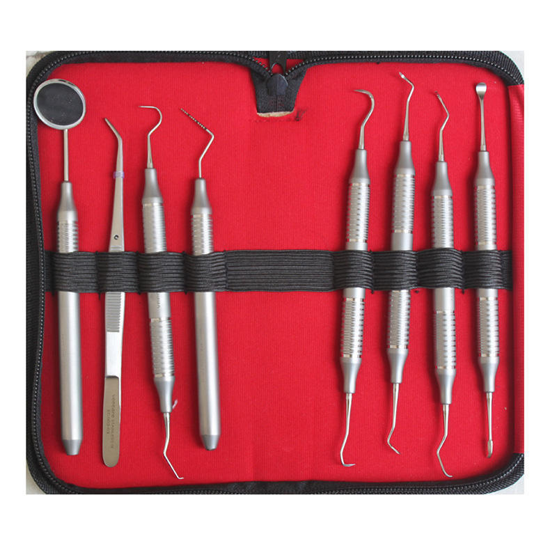 Dental Instruments Surgical Cleaning Teeth Tools Kit teeth cleaning spatulas kit with leather case