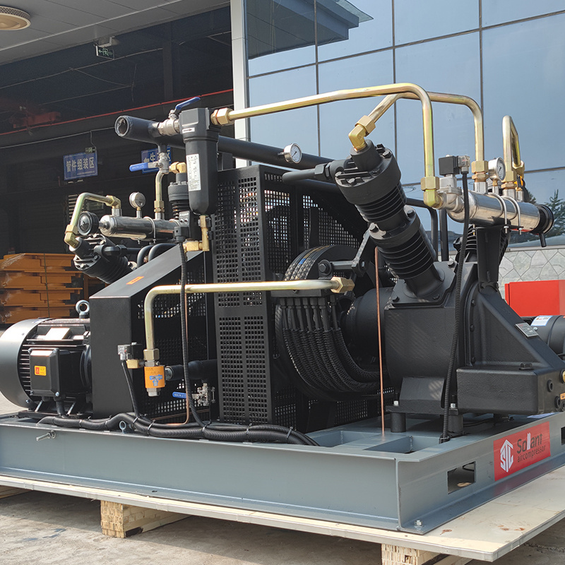 CNG filling station/Natural gas compressor/vertical CNG compressor Bio Gas Compressor Factory Price