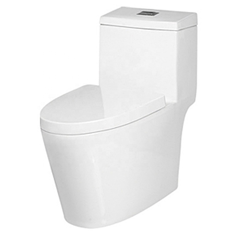 9203 Popular Bathroom Ceramic Toilet Bowl Toilet One Piece Toilet Unique Designs