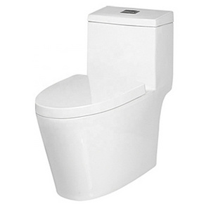 9203 Popular Bathroom Ceramic Toilet Bowl Toilet One Piece Toilet Unique Designs