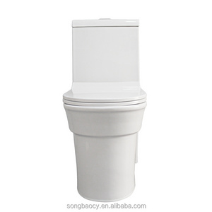 9238 4D Strong Power Flush Chaozhou Ceramic Siphon One Piece Toilet With New Design