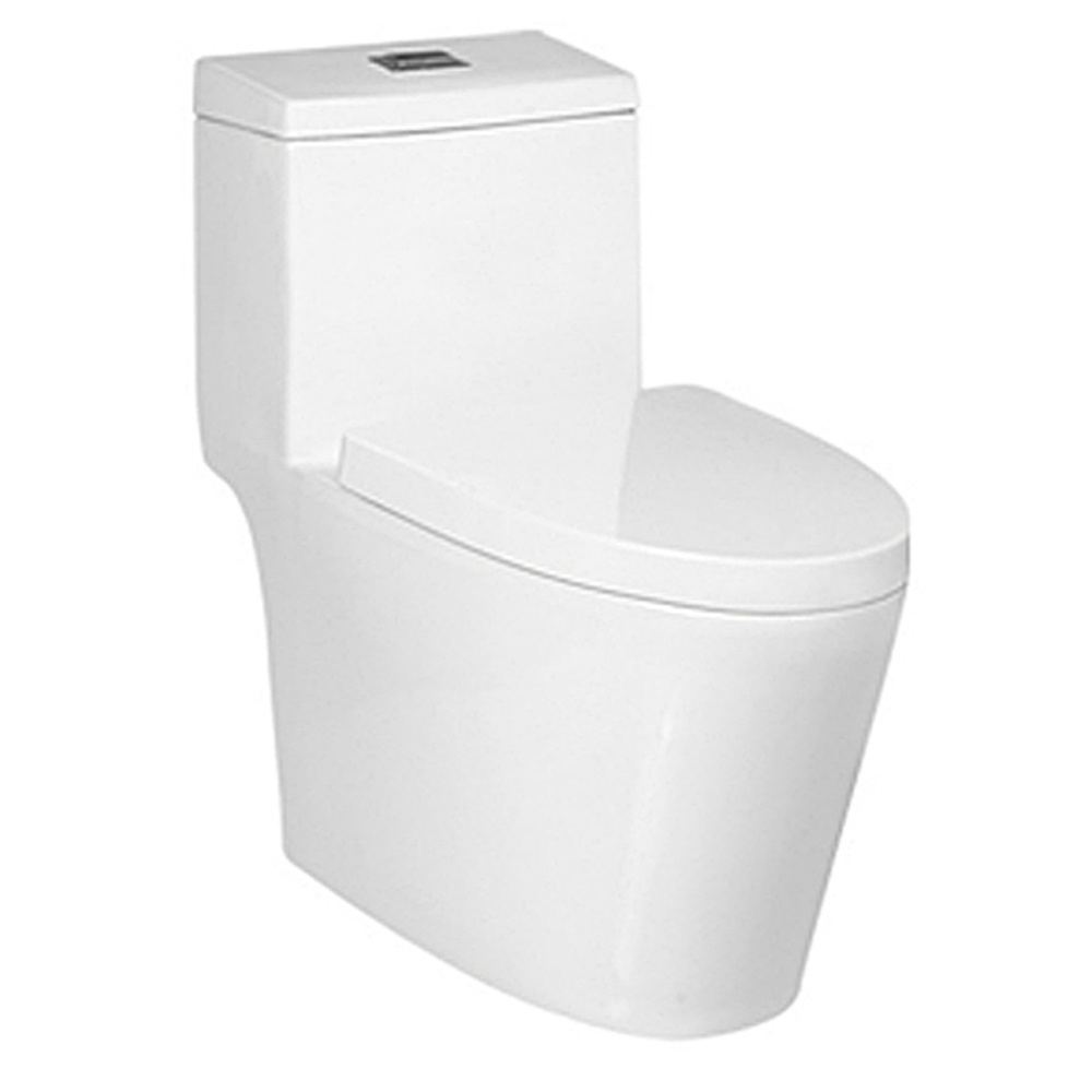 9203 Popular Bathroom Ceramic Toilet Bowl Toilet One Piece Toilet Unique Designs