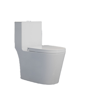 9272 Hotel Bathroom Sanitary Ware Commode Portable One Piece Ceramic Toilets Elegant Design