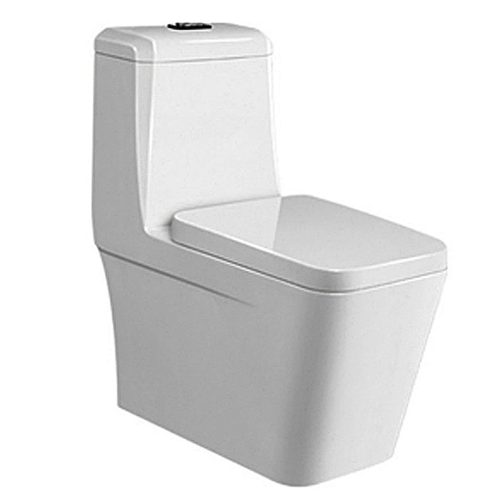 9215 Newest Design Toilet Closet Model One Piece Ceramic Floor Mount Siphonic Jet Flushing Toilet