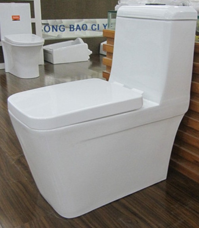 9215 Newest Design Toilet Closet Model One Piece Ceramic Floor Mount Siphonic Jet Flushing Toilet