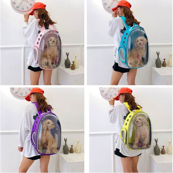 Cat Backpack 2024 High Quality Fashion Plastic Airplane Bike Dog  Carrier Cat Travel Luxury Space Pet Portable Carrier Bag