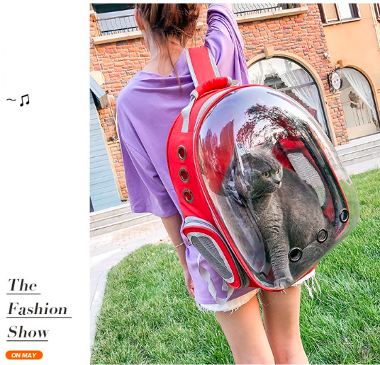 Cat Backpack 2024 High Quality Fashion Plastic Airplane Bike Dog  Carrier Cat Travel Luxury Space Pet Portable Carrier Bag