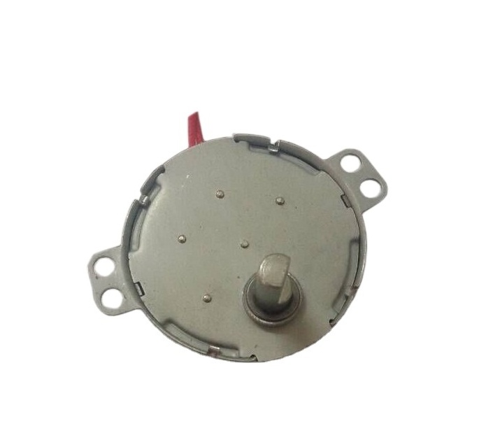 High Torque and Low Speed 220V 49TYJ AC Synchronous Motor for Juicer Machine