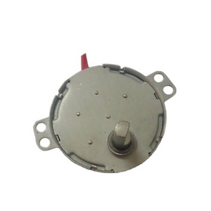 High Torque and Low Speed 220V 49TYJ AC Synchronous Motor for Juicer Machine