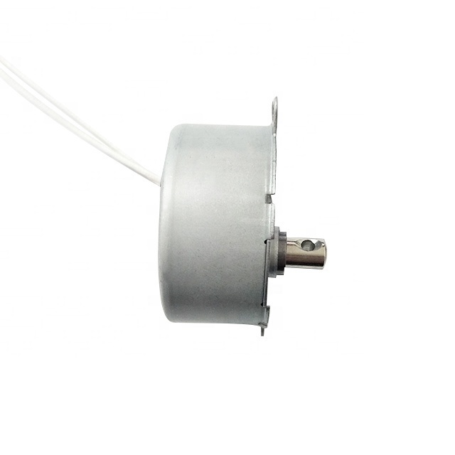 AC Synchronous Motor Electric Blender motor 49TYJ 49TYZ AC 12V 24V 110V 220V 4W low speed Customisable