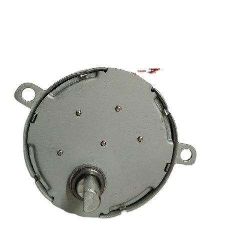 High Torque and Low Speed 220V 49TYJ AC Synchronous Motor for Juicer Machine