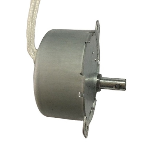 High Torque and Low Speed 220V 49TYJ AC Synchronous Motor for Juicer Machine