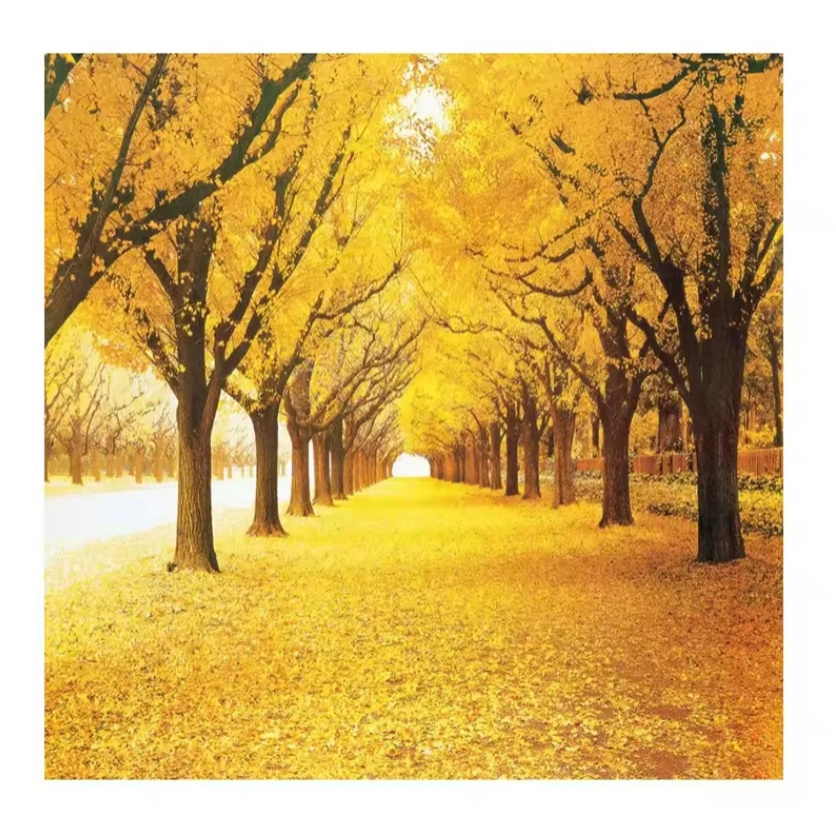 Custom 3d Wall Mural Landscape Natural Wallpaper Autumn Scenery Yellow Forests Wall Paper For Living Room