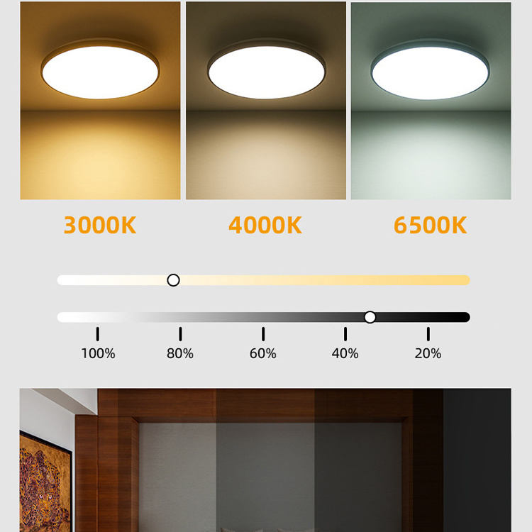 24W Graffiti APP WiFi Smart RGB Ceiling Light Alexa Voice Google Bluetooth 7 Colour Ceiling Light For Home