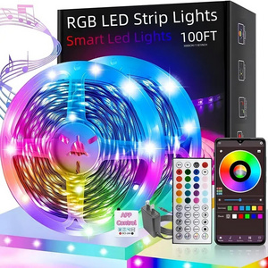 5050 Rgb 5V Flexible Kit Usb Led Strip 24 Key Ir Remote Controller and Bluetooth APP Music Sync 5m Led Strip Light