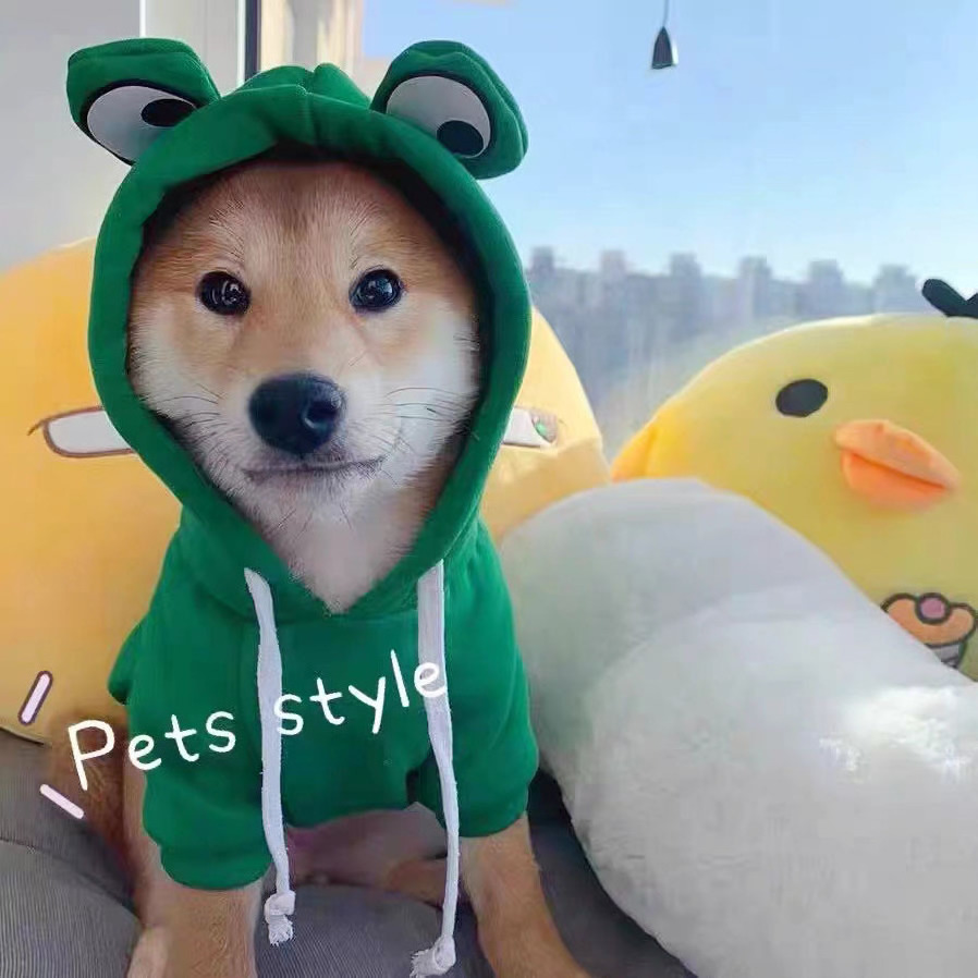 SongshanToys dog accessories clothes luxury Cotton warm hoodie cute green frog winter cat dog hoodie clothes