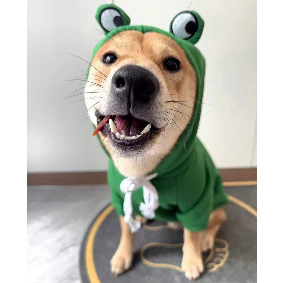 SongshanToys dog accessories clothes luxury Cotton warm hoodie cute green frog winter cat dog hoodie clothes